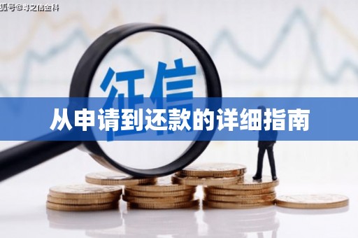 鄱阳从申请到还款的详细指南