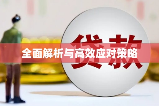 鄱阳全面解析与高效应对策略