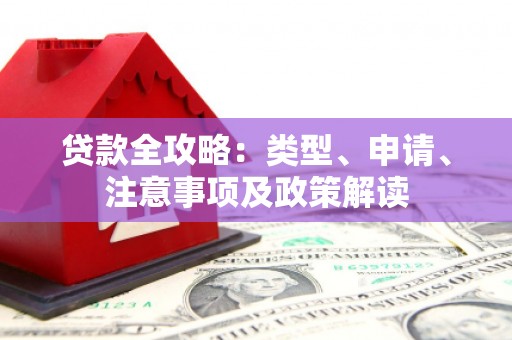 鄱阳贷款全攻略：类型、申请、注意事项及政策解读