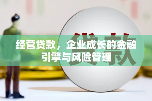 鄱阳经营贷款，企业成长的金融引擎与风险管理